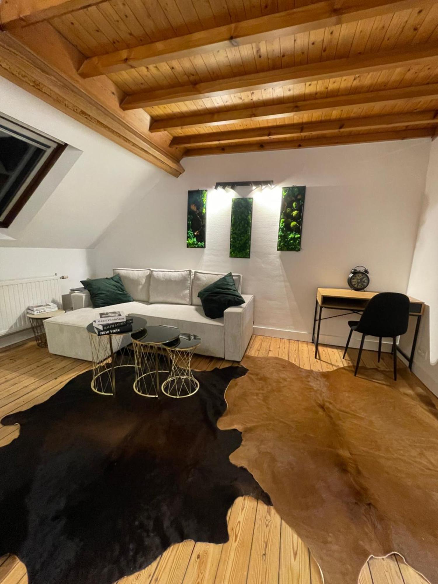 Appartement Attic European Quarter à Bruxelles Extérieur photo